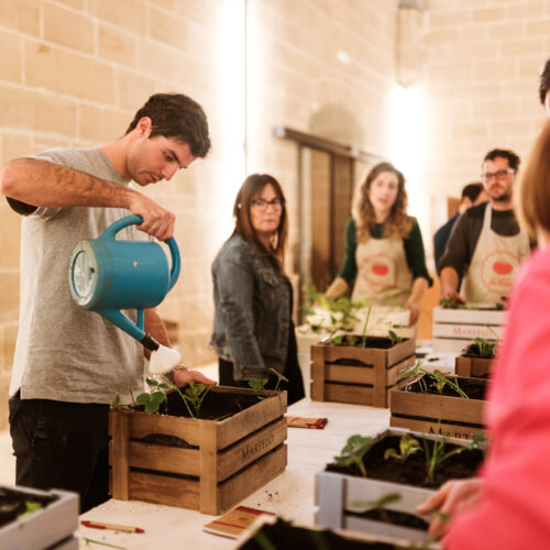 martelo-lahuertaderizos-low-76